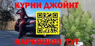 гидра Кулебаки